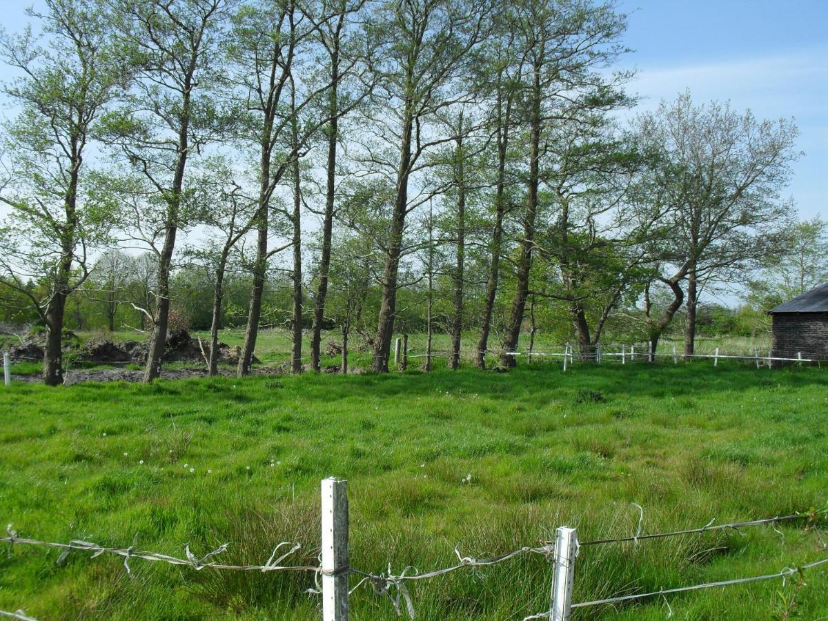 Ferienhof Schlachter Berumbur 외부 사진