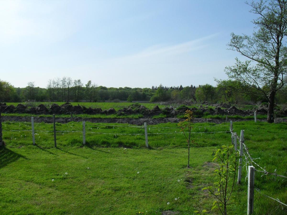 Ferienhof Schlachter Berumbur 외부 사진